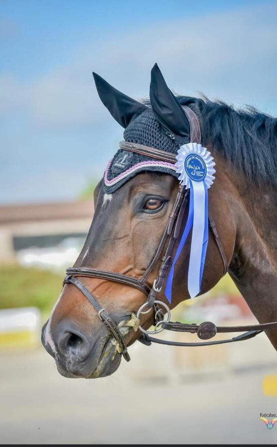 Gite Ecuries Vineuil Jump 6 Personnes Exterior foto