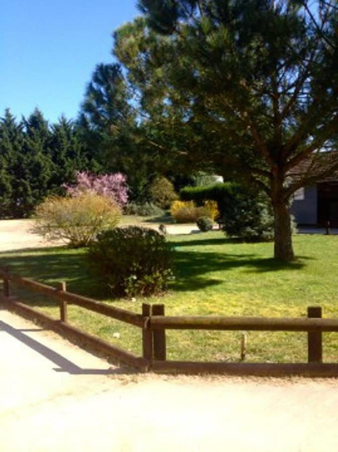 Gite Ecuries Vineuil Jump 6 Personnes Exterior foto